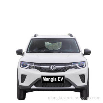 electric cars for sale by Dongfeng EX1 Pro with roof rack for a new family 5-seat small electric vehicle in 2023